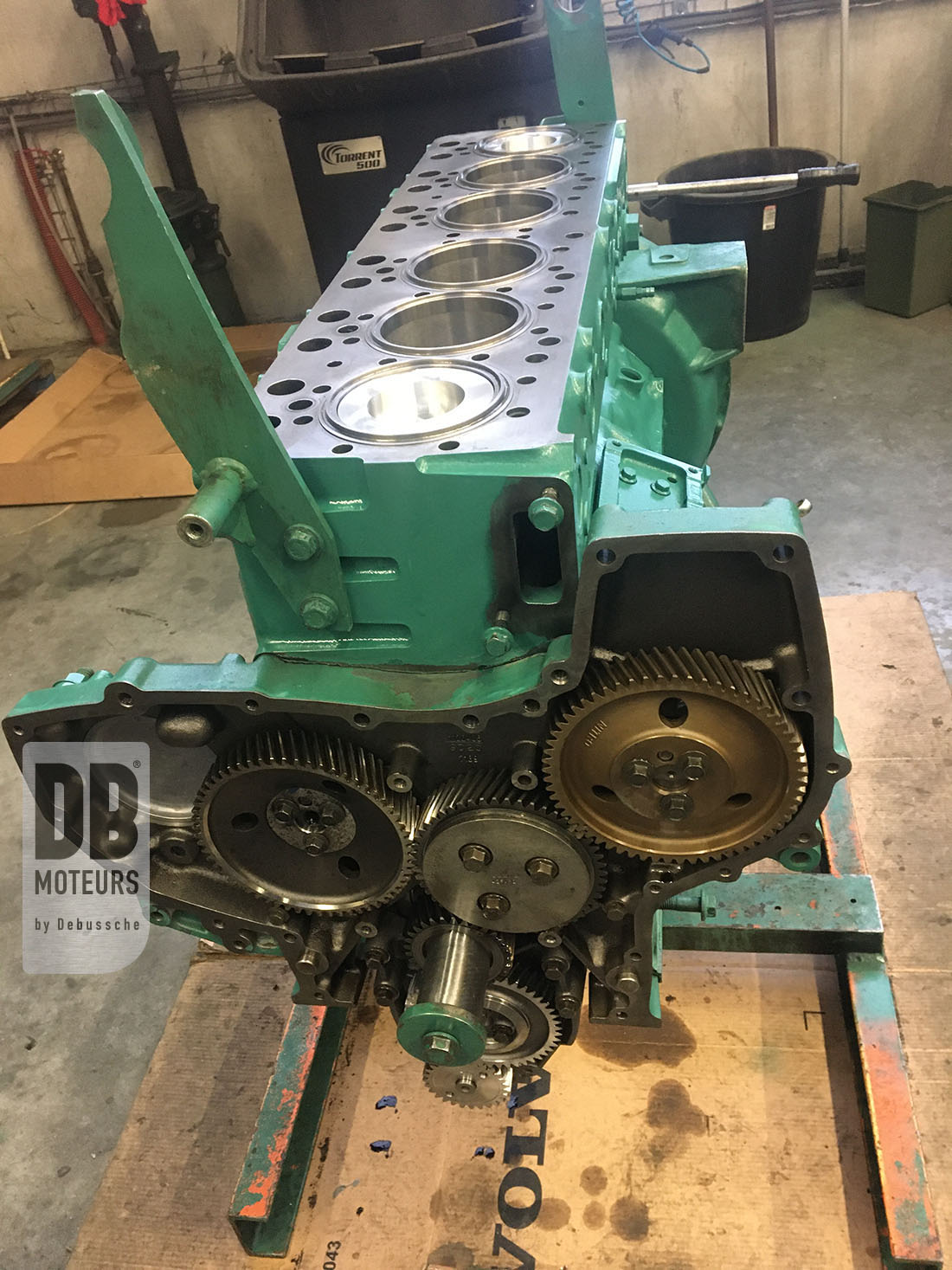 renovation moteur tamd71b