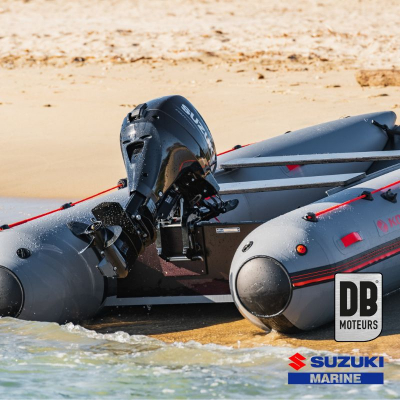 Moteur Suzuki Marine DF9.9A - Arbre court ou long (photo 4)